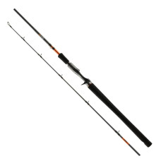 Спінінг Favorite Totem 130 Series TTM1C-662-80 1.98m 20-80g Fast Casting