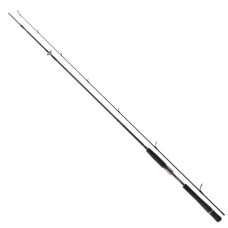 Спінінг Daiwa Prorex S 2.70м 30-70гр