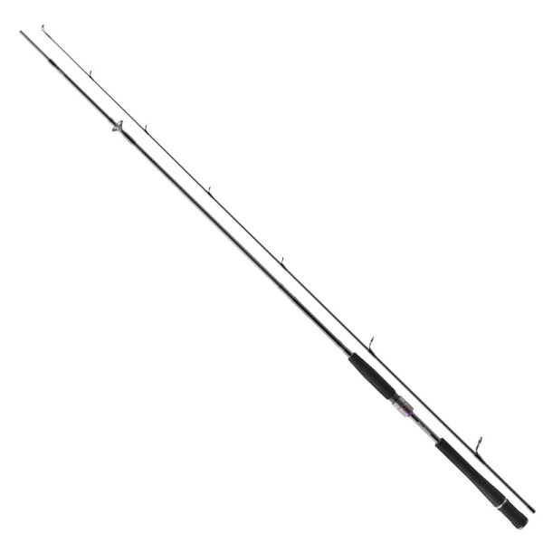 Спінінг Daiwa Prorex S 2.70м 30-70гр