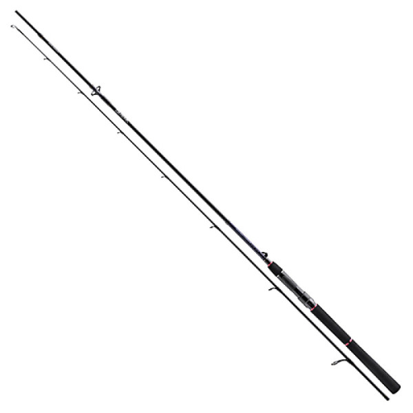 Спінінг Daiwa Tournament SW AGS 2.4 м 14-42гр