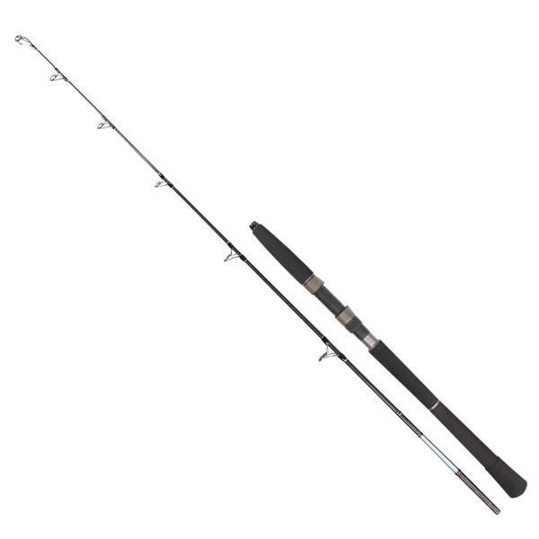 Вудилище морське GC Rocky Catfish 1.65м 20lb