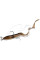 Силікон Savage Gear 3D Real Eel Loose Body 200mm 27.0g+5.0g #02 Olive Pearl NL (2+2 шт/уп)