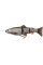 Силікон Savage Gear 4D Line Thru Trout SS 150mm 35.0g #01 Rainbow (поштучно)