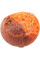 Бойлы Brain Pop-Up F1 Freak Fruit (апельсин/кальмар) 10mm 20g