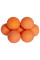 Бойлы Brain Pop-Up F1 Tropicana (манго) 10mm 20g
