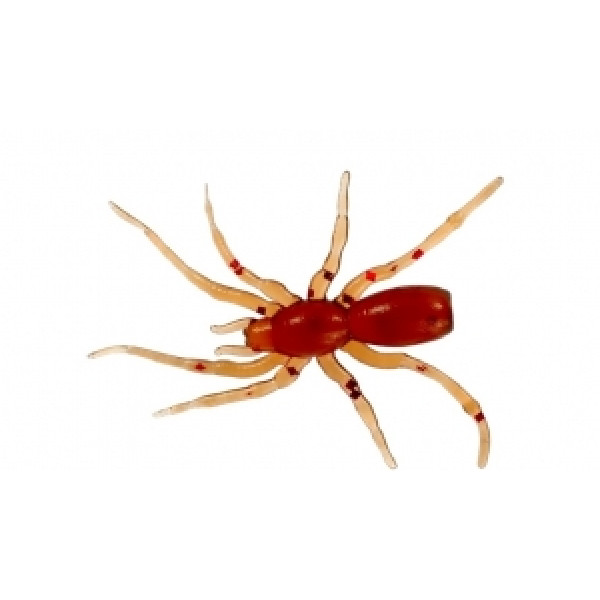 Силіконова приманка Tiny Spider 1.1" колір 34