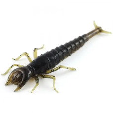 FishUP Diving Bug 2" (8шт), #043 - Watermelon Brown/Black
