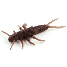 FishUP Stonefly 0.75" (12шт), #012 - Chaos