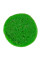 Бойлы Brain Pop-Up F1 Green Peas (зеленый горошек) 10mm 20g