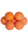 Бойлы Brain Pop-Up F1 Tropicana (манго) 8mm 20g