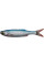 Силікон Savage Gear Craft Dying Minnow 75mm 2.0g Blue Pearl (5 шт/уп)