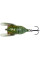 Воблер Savage Gear 3D Cicada F 33mm 3.5g Green